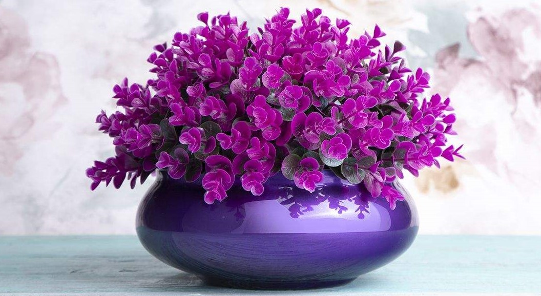 کلینیک تخصصی زیبایی چهره