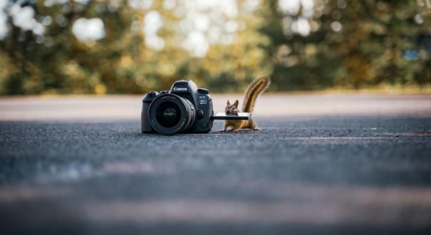 آتلیه عماد آتلیه عماد